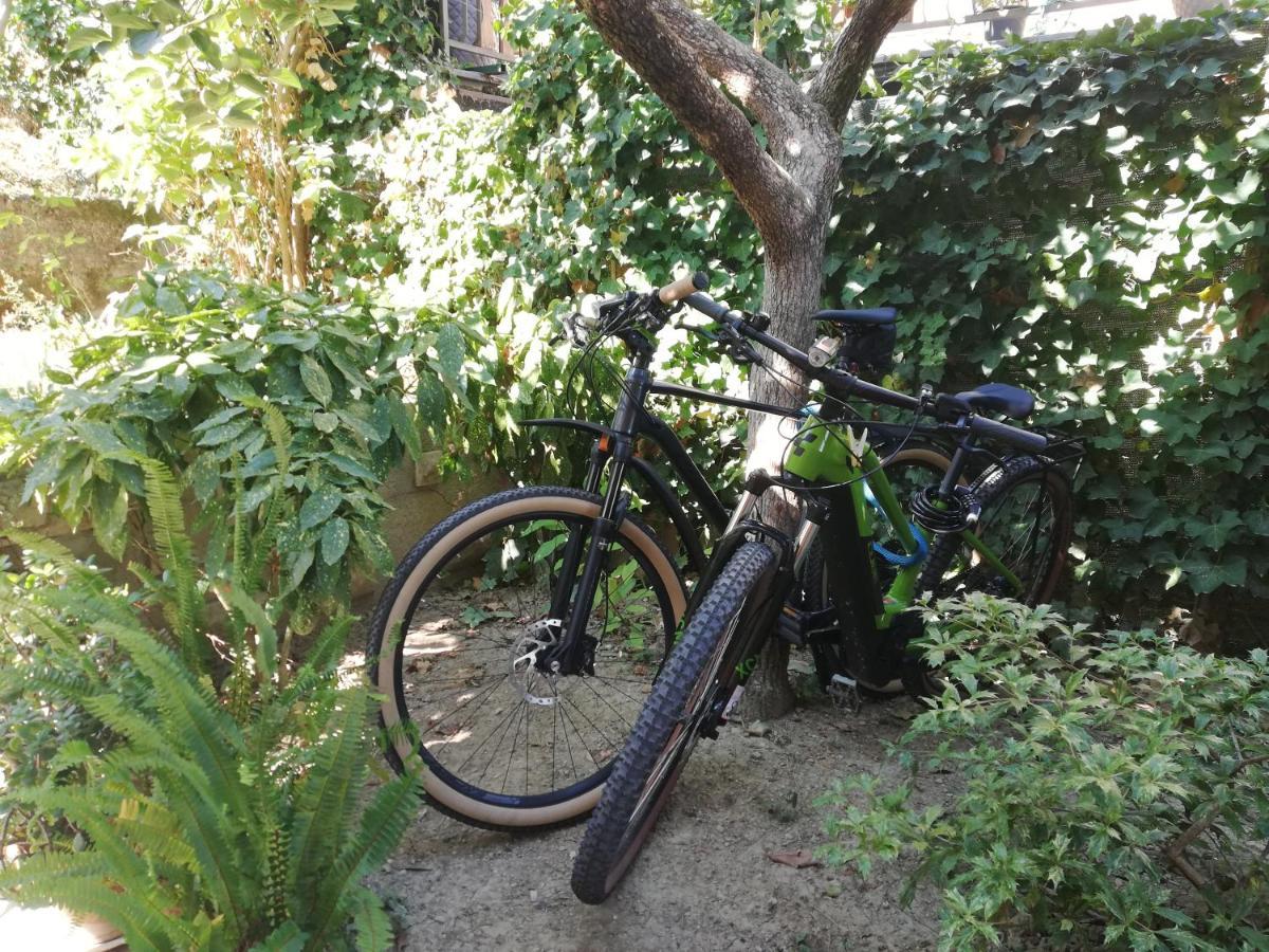 Vila Flori Capodistria Esterno foto
