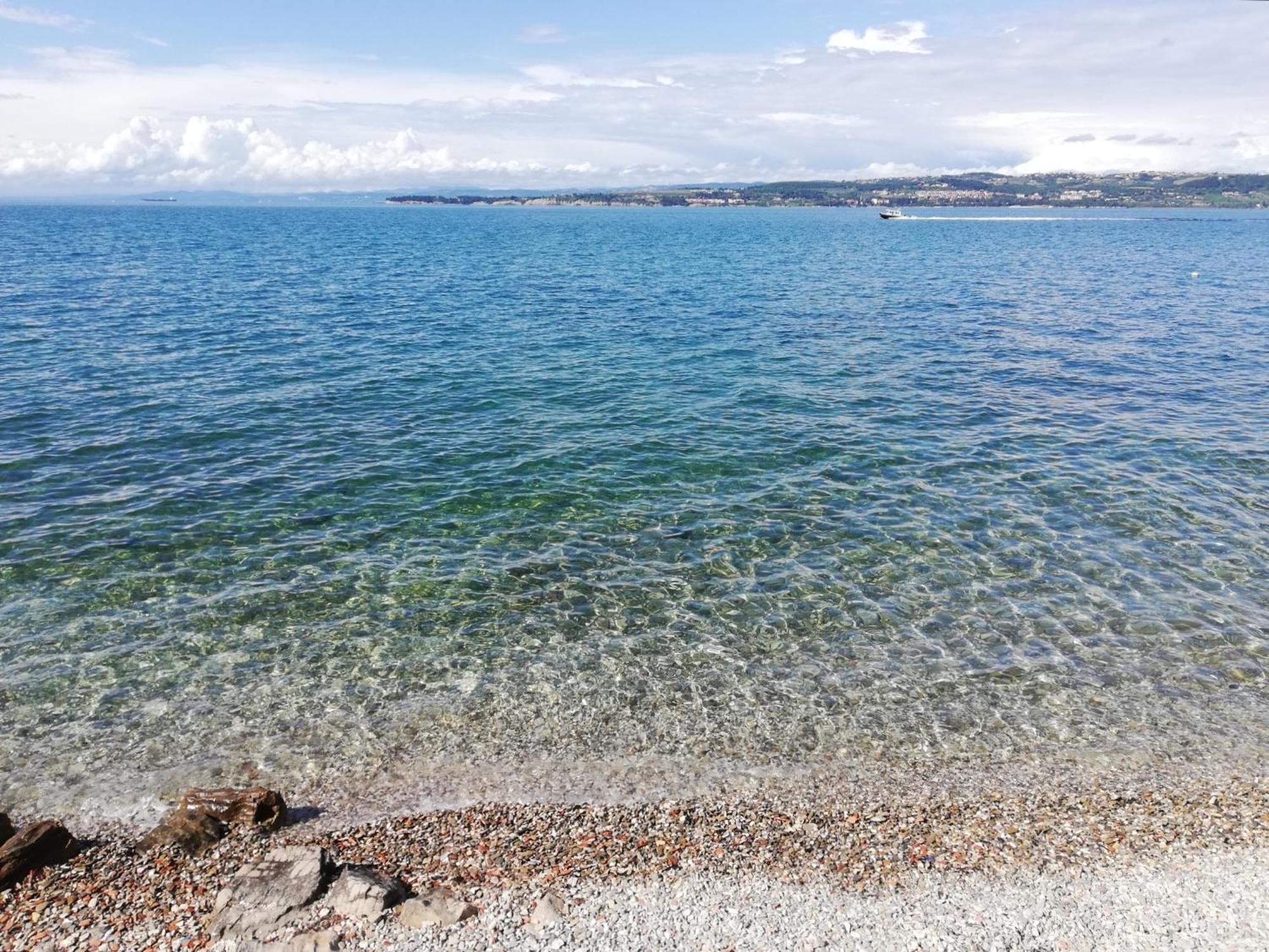 Vila Flori Capodistria Esterno foto